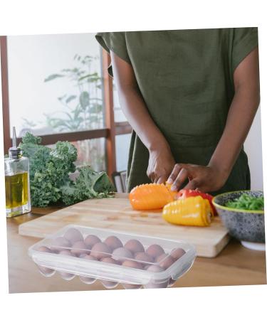 Hohopeti Box Plastic Serving Trays Egg Holder for Fridge Refriger Portable Egg Case Egg Tray Crisper Dumpling White 32x18cm - Buy Online on GoSupps.com