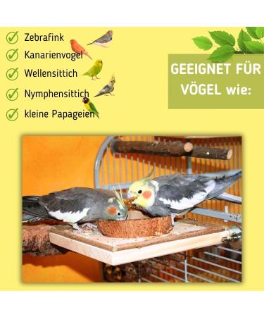 Smart Bird Toy & Feeding Board: Coconut Shell Sitting Board with Removable Bowl - Ideal for Happy Birds - Shop Internationally! - Buy Online on GoSupps.com