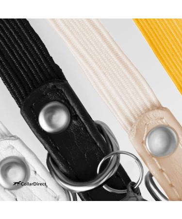 CollarDirect Leather Cat Safety Collar with Elastic Strap and Bell | 9-11 Inch | Black Blue Red Orange Lime Green Mint Green - Buy Online on GoSupps.com