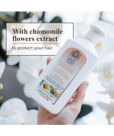 Intea Camomila Blonde Highlights Conditioner - Natural Chamomile Extract - 8.5 oz - Buy Online on GoSupps.com