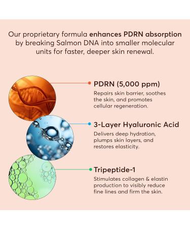 PDRN Salmon DNA Serum Anti-Aging Face Serum with Hyaluronic Acid Tripeptide & Vitamins (10 000ppm) Hydrating Facial Serum for Blemishes Collagen Boost & Fine Lines Korean Skincare 1 Fl Oz - Buy Online on GoSupps.com