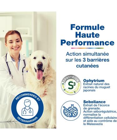 DOUXO S3 SEBORRHEE SHAMPOO - CEVA - Buy Online on GoSupps.com