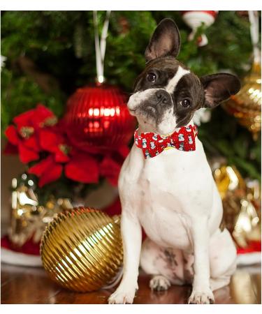 Lionheart Glory Christmas Dog Collar - Adjustable Soft Fly Collars for Small Dogs - Red Penguin Design - XS (1 Pack) - Buy Online on GoSupps.com