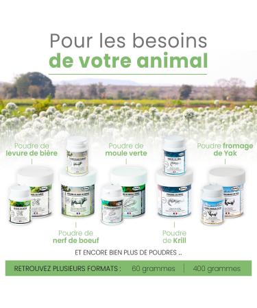 Bubimex - Garlic Powder - 100% Natural Food Supplement for Dogs and Cats - Rich in Antioxidants - Antiseptic Anti-parasitic Digestion and Elimination of Toxins - 400g - Buy Online on GoSupps.com