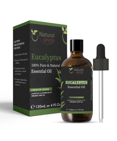 Essential Oil | Pure Aromatherapy Oil for Diffusers, Hair Growth, Skin, Scalp Care, Massage | Refreshing Hair Oil for Women & Men | Natural Essential Oil for Diffuser | 4 Fl Oz (120 mL) (Eucalyptus)