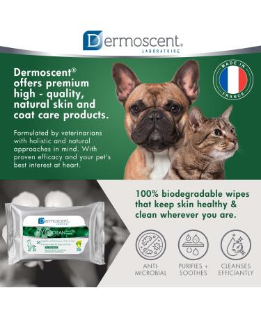 Dermoscent PYOclean Wipes for Dogs & Cats - 20 Pieces | International Shipping Available - Buy Online on GoSupps.com
