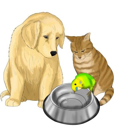 Petherd Emergency ID Card for Pets - Waterproof Credit Card Size - 5 Set Safety Gadget for Dogs & Cats - Ideal for Wallet Car Key Ring - Buy Online on GoSupps.com