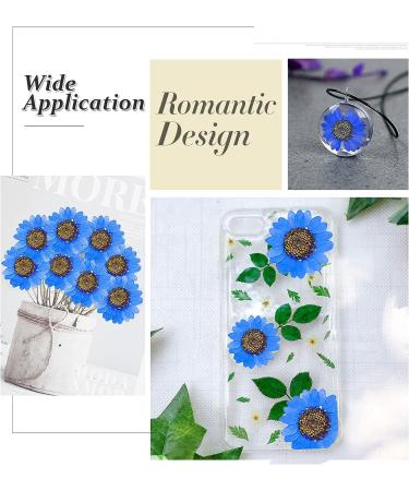 Heisenlin Dried Pressed Flower 60PCS Blue Natural Real Daisy Flowers with Forceps - DIY Crafts, Resin Jewelry, Soap, Scrapbooking - Nail Pendant Decoration - Buy Online on GoSupps.com
