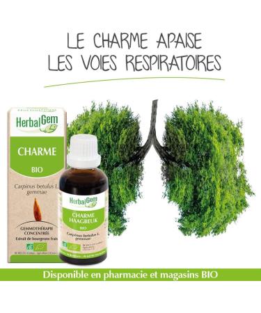 Herbalgm Organic Charm Macerate Concentrated Gemmotherapy Dietary Supplement - Fresh Bud Extract - For Airways & Blood Circulation - Vegan - 30 ml - Buy Online on GoSupps.com