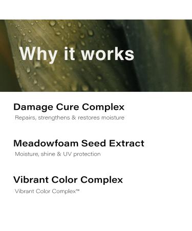 Eufora Beautifying Elixirs Elixirone - Nourishing Hair Treatment for All Hair Types | Shop Internationally - Buy Online on GoSupps.com