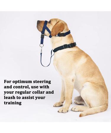 Barkless Dog Handlebars - No Pull Training Tool for Medium & Large Dogs | Soft Upholstery Navy | Includes Training Instructions - Buy Online on GoSupps.com