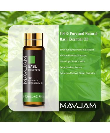 MAYJAM Basil Essential Oil 10ML - Aromatic Basil Oil for Diffuser, Humidifier, and DIY Home Wardrobes - 10.00 ml (Pack of 1) - Buy Online on GoSupps.com