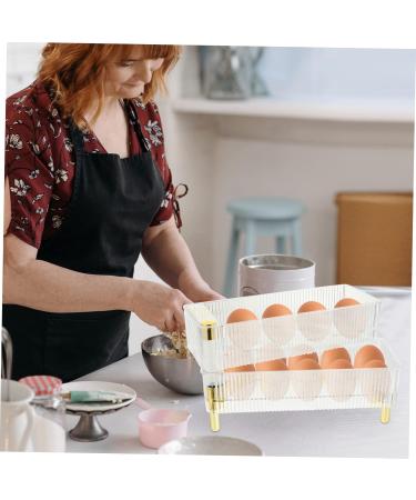 Housoutil Box Plastic Pallet Egg Holder Egg Trays for Deviled Eggs Egg Rack Crisper The Pet Gilded re-usable Transparent 26.5X16X10CM - Buy Online on GoSupps.com