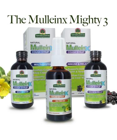 Nature's Answer Mullein-X Cough Syrup | 4 oz | Immune Support & Relaxation | Soothes Cough & Clears Mucus | Non-GMO & Gluten-Free - Buy Online on GoSupps.com