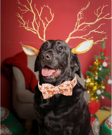 Lionheart Glory Christmas Dog Collar - Adjustable Soft Pink Fly Collars for Small Dogs | XS Gingerbread Man Design - Buy Online on GoSupps.com