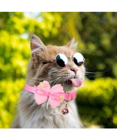 3-Piece Adjustable Cat Collars with Safety Lock | Cute & Durable Kitten Collars for Cats & Puppies (19-32 cm) - Buy Online on GoSupps.com