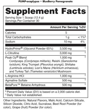 Pump-ocalypse Blueberry Pomegranate | Nitric Oxide L Arginine Supplement | Citrulline Malate GlycerPump | Ultimate N.O. Booster | Lean Muscle Support | Blood Flow Vascularity Hydration Endurance - Buy Online on GoSupps.com