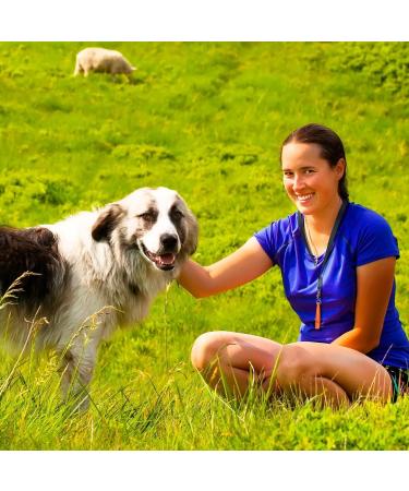 Jet Black Whistle for Hunting Dogs - Long Distance Recall & Training with Lanyard | International Shipping Available - Buy Online on GoSupps.com