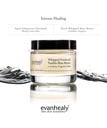 evanhealy Whipped Patchouli Vanilla Shea Butter | Organic Handcrafted Moisturizer for Face & Body | International Shipping Available - Buy Online on GoSupps.com