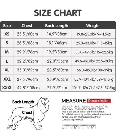 Surgical Recovery Suit for Dogs - Breathable Long-Sleeved Pajamas Postoperative Abdominal Wound Protection Alternative to Cone - One-Divider Design (1 Pack) - Buy Online on GoSupps.com