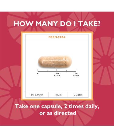 Celebrate Vitamins Bariatric Prenatal Multivitamin Capsules with Folate (Folic Acid) Vitamin A Iron Iodine and Choline for Roux en Y and Sleeve Gastrectomy Patients 60 Count - Buy Online on GoSupps.com