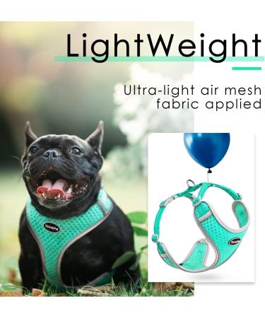 Thinkpet No-Pull Dog Harness & Leash Set - Breathable Adjustable Chest Harness for Small Medium & Large Dogs - Safe Reflective Running Harness (Green) - Buy Online on GoSupps.com