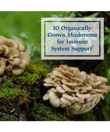 Garden of Life RM-10 Ultra: Immune Support 90 Vegetarian Capsules - Buy Online on GoSupps.com