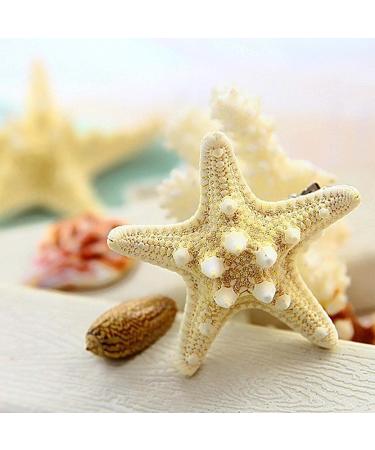 Bohemia Starfish Hair Clip Barrette - Beach Festival Hair Accessory for Women - Buy Online on GoSupps.com