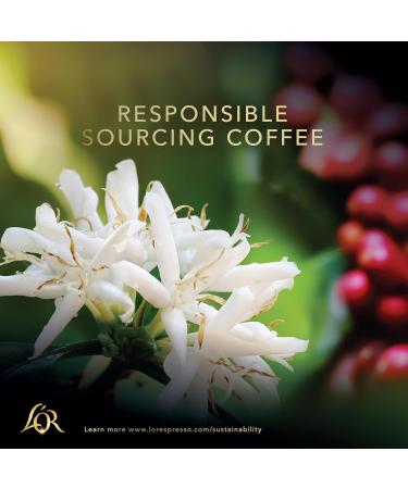  L'OR L'OR - XXL Capsules - Splendente - Intensity 7 - Light Roast - Exclusive L'Or BARISTA Compatibility - 5 packs of 10 aluminium capsules - Buy Online on GoSupps.com