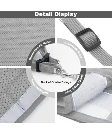 Buy Meioro Adjustable Dog Harness with Leash - Reflective Soft Padded Vest for Small & Medium Dogs (XS 26-29cm Gray) - Ideal for Puppies & Cats - Buy Online on GoSupps.com