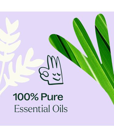 Plant Therapy Anti Age Essential Oil Blend 10 mL (1/3 oz) 100% Pure Undiluted for Fine Lines Wrinkles and Elasticity 0.33 Fl Oz (Pack of 1) - Buy Online on GoSupps.com