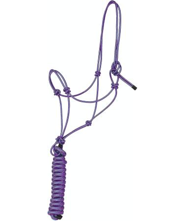 Majestic Ally 1/4 Rope 4 Knot Stiff Polyester Training Halter & 10 Lead Rope Set - Full Purple - for Horses - Buy Online on GoSupps.com