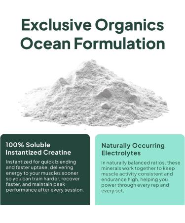 Organics Ocean Krealyte Fusion - Instantized Creatine Monohydrate Powder with Electrolytes - Muscle Strength Endurance & Hydration Support - Vegan Sugar-Free Pink Lemonade Flavor - 30 Servings 9.17 Ounce (Pack of 1) - Buy Online on GoSupps.com