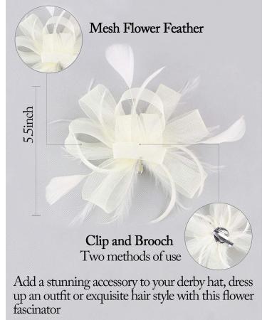 Z&X Ladies Fascinator - Elegant Wedding Derby Hat with Feather & Flower - Sinamay Pillbox Cocktail Tea Party Headband - One Size A-Beige - Buy Online on GoSupps.com