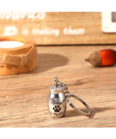 Partideal Pet Urns Keychain Dog Paw Cremation Urn Keyring Double Sided Dog Urn Memorial Keychain Always in My Heart for Pet Cremation Jewellery Pend Paw Print Memorial Urn - Buy Online on GoSupps.com