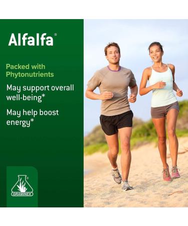 Graminex Alfalfa Tablets - Non-GMO Green Superfood Supplement with Vitamins, Minerals & Amino Acids | 240 Tablets - Buy Online on GoSupps.com