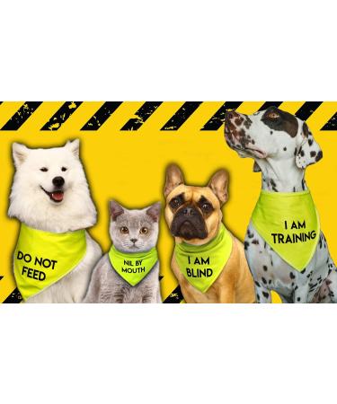 Spoilt Rotten Pets Nervous Please Pass Bandana & Walking A Nervous Dog Please Pass Reflective High Visibility Lightweight Hi Viz Safety Vest - Buy Online on GoSupps.com