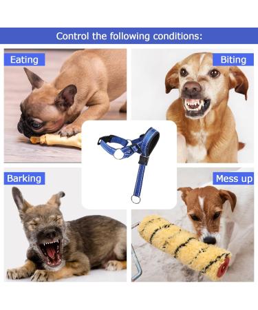 Deaguid Dog Head Collar with Safety Strap Adjustable Headcollar for Dogs Dog Head Harness to Stop Pulling Anti Biting Barking (L) - Buy Online on GoSupps.com