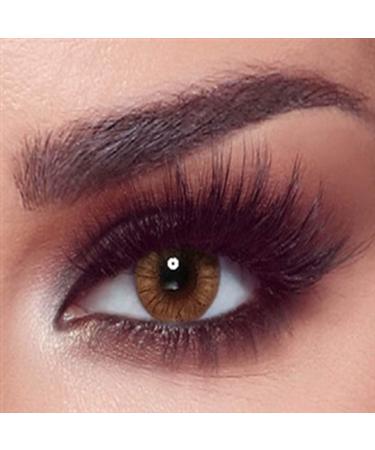 Bella 1 -day Colored contact lenses hazel honey (dioptria -0.00) -10x -covering daily lenses natural color lenses in hazelnut brown perfect for dark eyes without strength