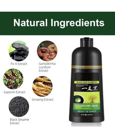  Rainao Instant Black Shampoo for Gray Hair - 500ml - Long-lasting herbal shampoo with water-based formula in minutes - Rainao long-lasting black color - Buy Online on GoSupps.com