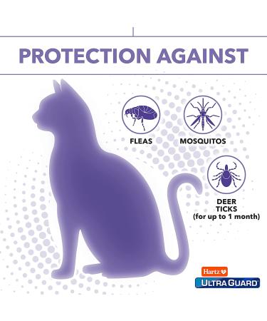 Hartz UltraGuard Flea & Tick Prevention for Cats - 3 Monthly Treatments - Buy Online on GoSupps.com