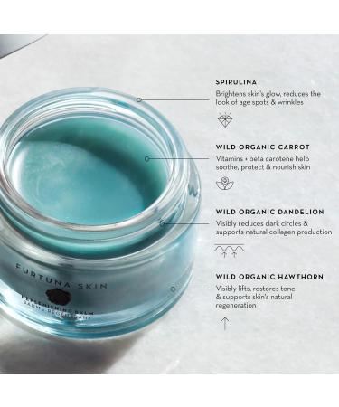 Furtuna Skin Rinascita Delle Olive Replenishing Balm 18g 0.63 Ounce (Pack of 1) - Buy Online on GoSupps.com