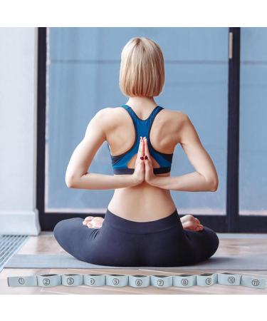 Baluue Yoga Resistance Bands - Pull Up Stretching & Exercise Bands for Men & Women | Perfect for Pilates Back & Leg Workouts - Buy Online on GoSupps.com
