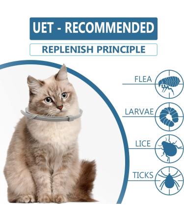 Plant Based Essential Oil Waterproof Treatment for Small Kittens with Free Comb - 2 Pack - Buy Online on GoSupps.com