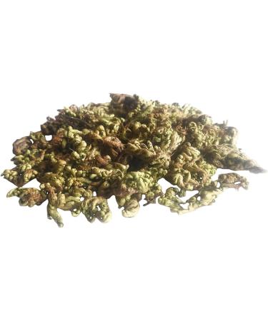 NN LAXMANA BOOTI (Selaginella bryopteris) SANJIVANI BOOTI SANJEEVANI BUTI SANJIVNI BOOTI LAKSHMANA BUTI SANJEEVNI BOOTI (100 GM) - Buy Online on GoSupps.com