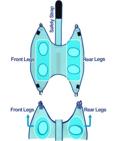 Buy Kkiimatt Pet Care Hammock for Small Dogs - Dog Hinge Trim with Nail Clipper & Hooking Mat (XX-Small 3.5kg Max Turquoise) - International Shipping Available - Buy Online on GoSupps.com
