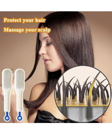 Self-Cleaning Anti-Static Massage Comb One-Pull Clean Massage Comb Massage Comb for Hair Scalable Rotate Lifting Self Cleaning Hairbrush Hair Styling Tools for Women (Color : 2pcs-B) - Buy Online on GoSupps.com