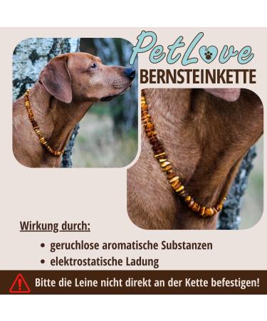 PetLove Amber Necklace for Dogs & Cats | 100% Baltic Amber Collar | 65cm Length - Premium Pet Accessory - Buy Online on GoSupps.com