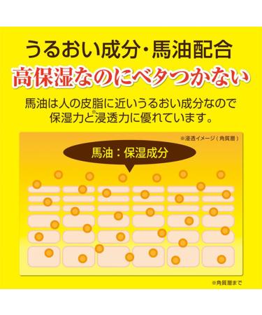 Loshi Horse Oil Moisture Skin Cream - Hydrating and Nourishing Formula - Buy Online on GoSupps.com