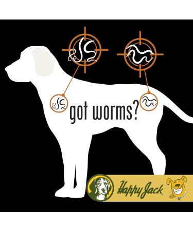 Happy Jack Liqui-Vict 2X Liquid Dog Dewormer - Effective Worm Treatment for All Breeds (2 oz) | Removes Roundworms & Hookworms | Safe for Puppies Adults & Lactating Moms - Buy Online on GoSupps.com